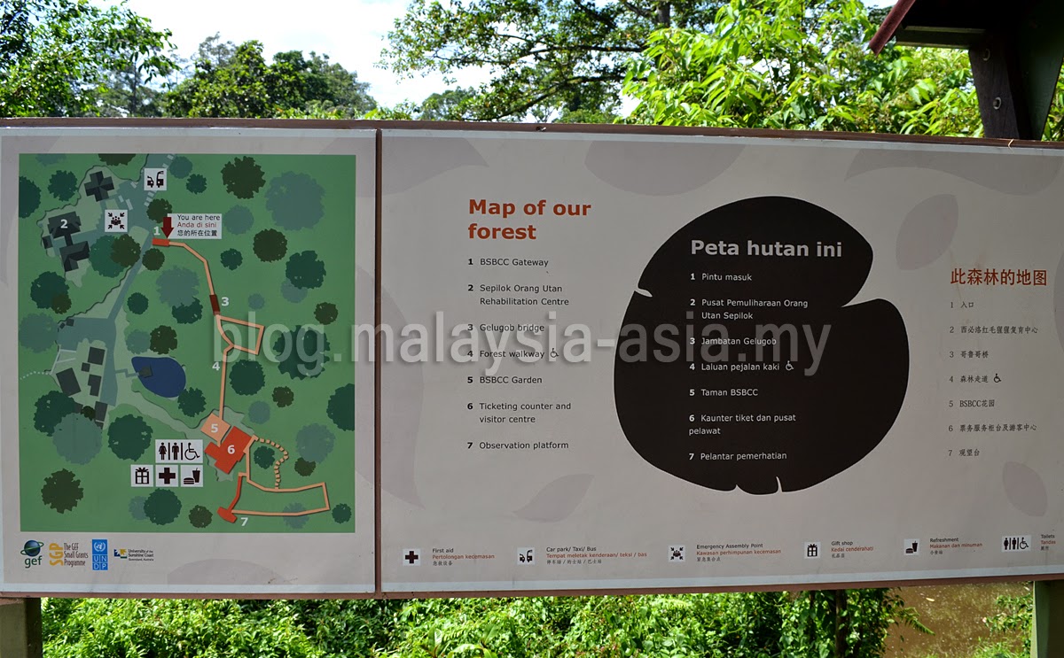 bornean-sun-bear-conservation-centre-map Bornean Sun Bear Conservation Centre Review
