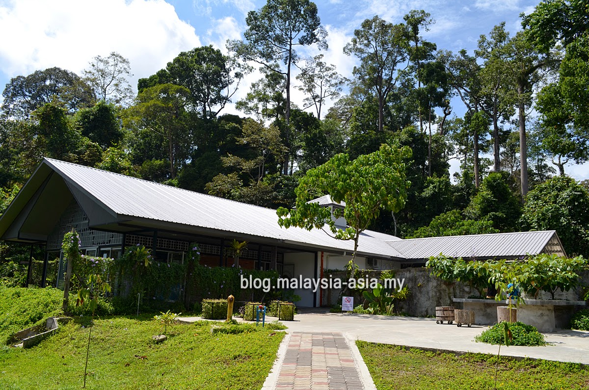 bornean-sun-bear-conservation-centre-sandakan Bornean Sun Bear Conservation Centre Review