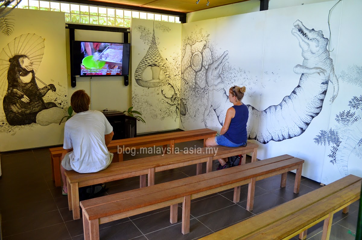 bsbcc-video-room Bornean Sun Bear Conservation Centre Review