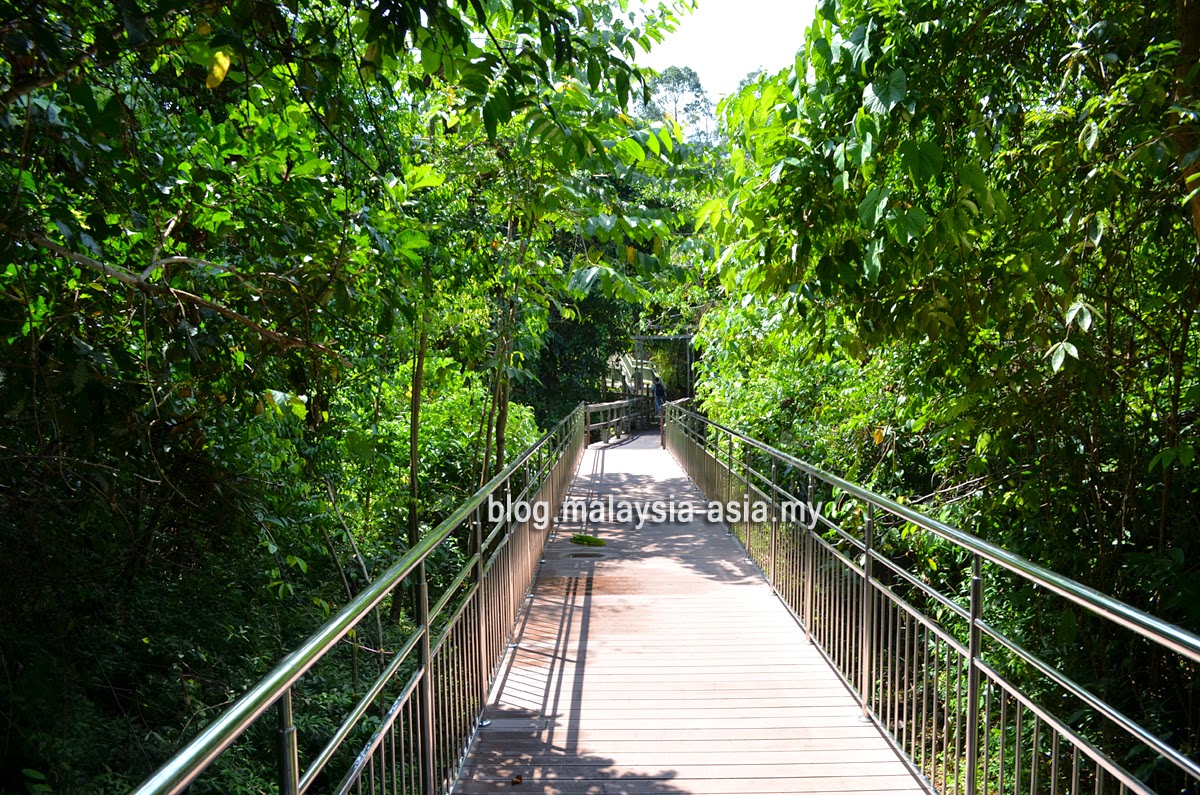 bsbcc-walkway-sandakan Bornean Sun Bear Conservation Centre Review