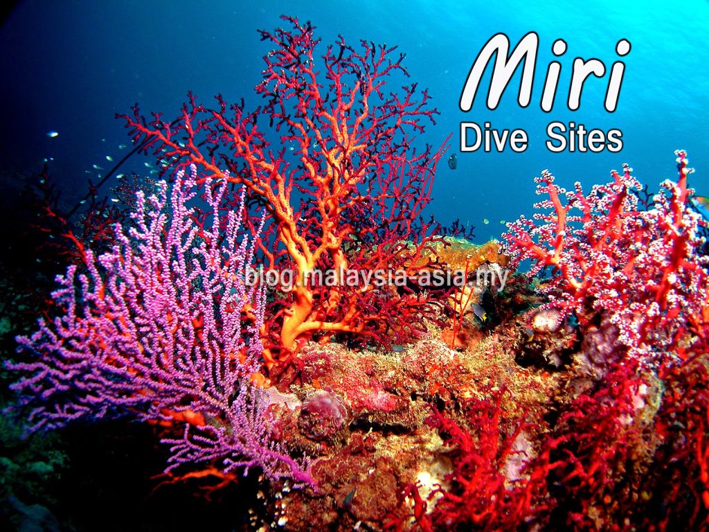 Miri Dive Sites
