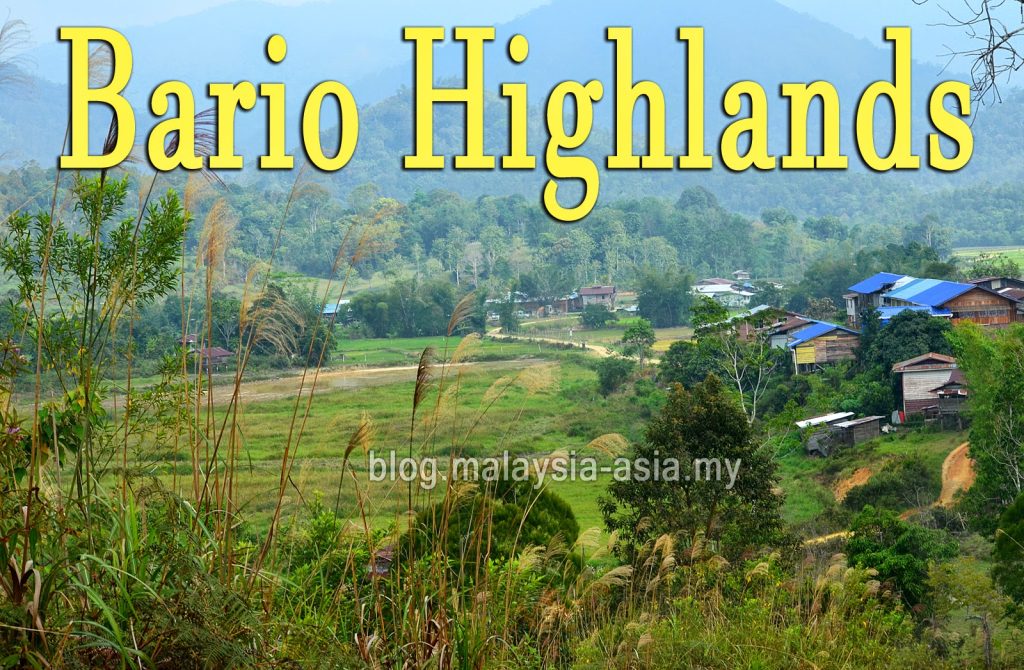 Bario Sarawak
