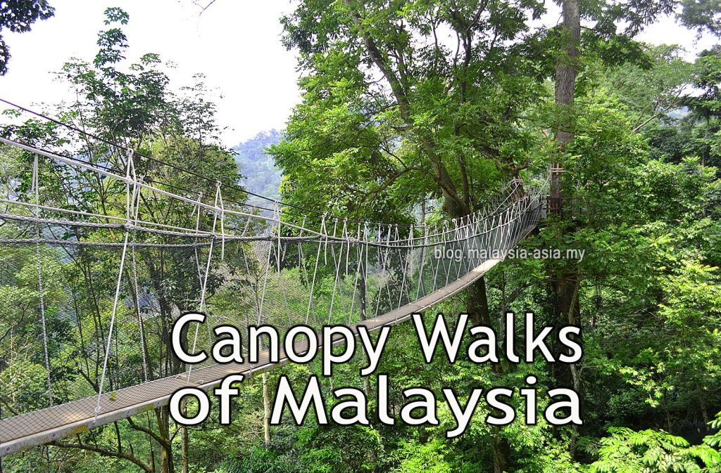 Malaysia Canopy Walks