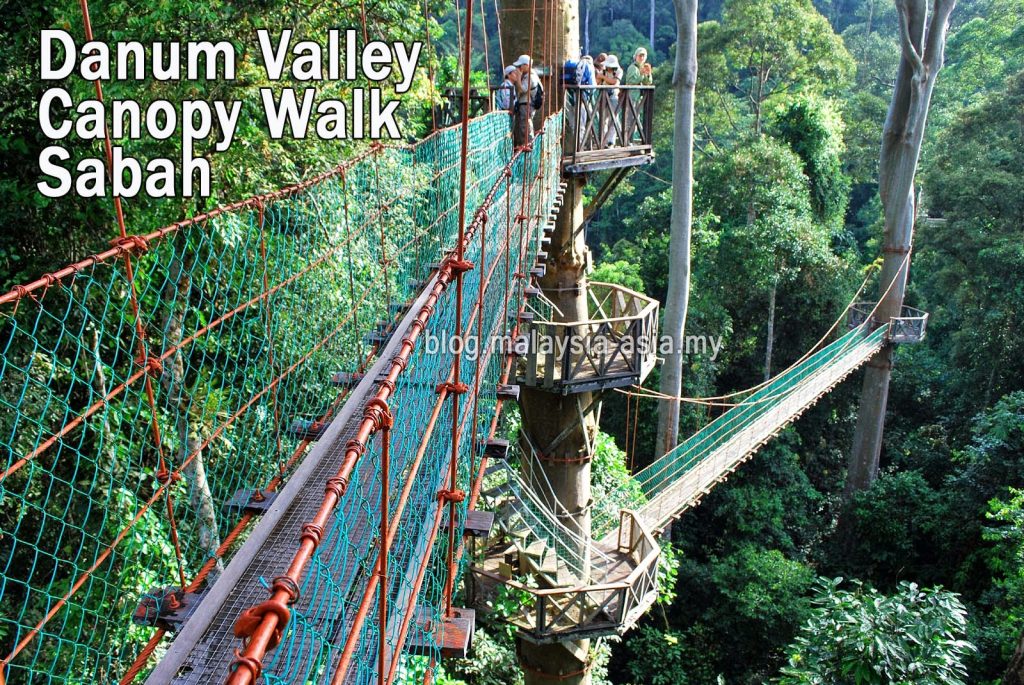 Canopy Walk Danum Valley