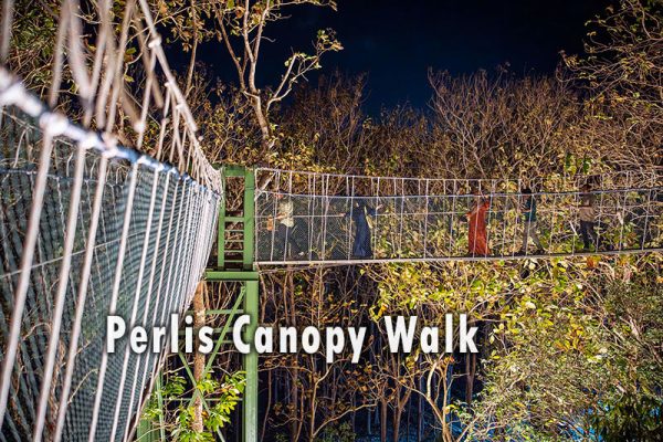 titian-kanopi-perlis-600x400 Canopy Walks in Malaysia (Updated 2026)