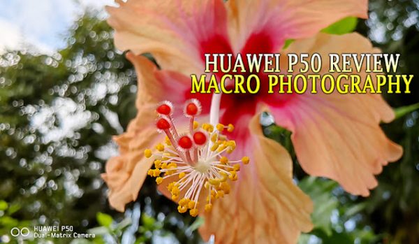 Macro Photography with Huawei Smartphones