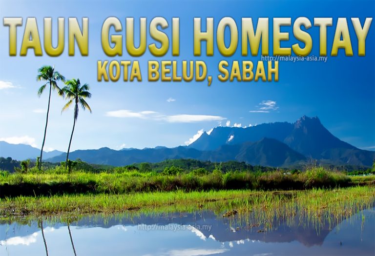 Taun Gusi Homestay