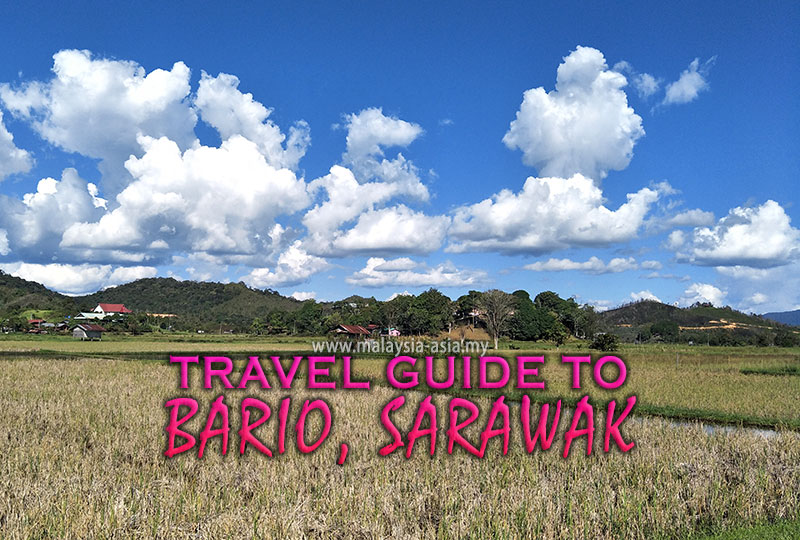 Bario Travel Guide