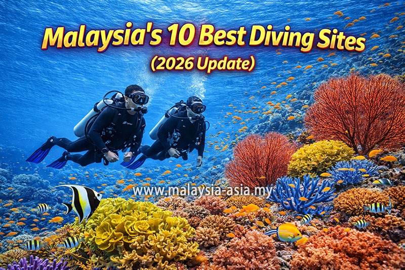Best Dive Sites in Malaysia