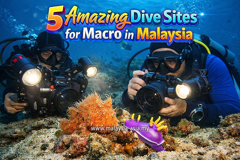 Best Macro Diving Sites Malaysia