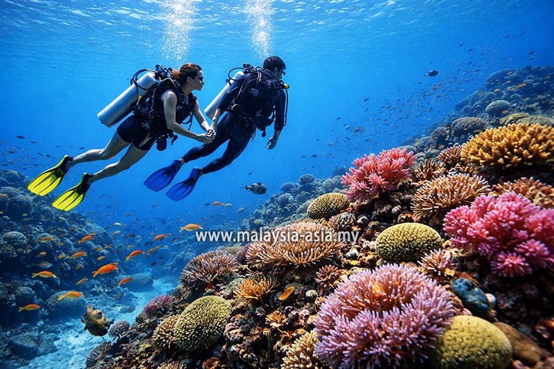 perhentian-scuba-diving Malaysia's 10 Best Dive Sites: A Complete Guide for Scuba Divers
