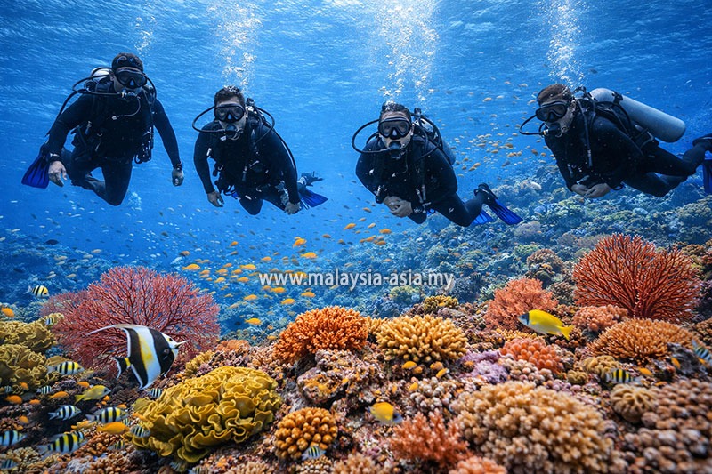 pulau-payar-scuba-diving Malaysia's 10 Best Dive Sites: A Complete Guide for Scuba Divers