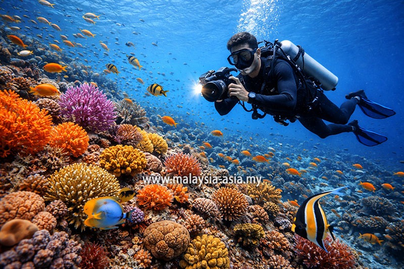 redang-scuba-diving Malaysia's 10 Best Dive Sites: A Complete Guide for Scuba Divers