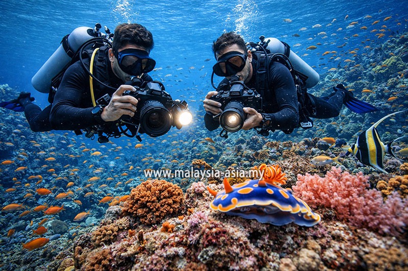tenggol-scuba-diving Malaysia's 10 Best Dive Sites: A Complete Guide for Scuba Divers