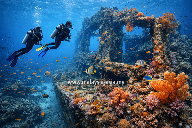 tioman-scuba-diving Malaysia's 10 Best Dive Sites: A Complete Guide for Scuba Divers