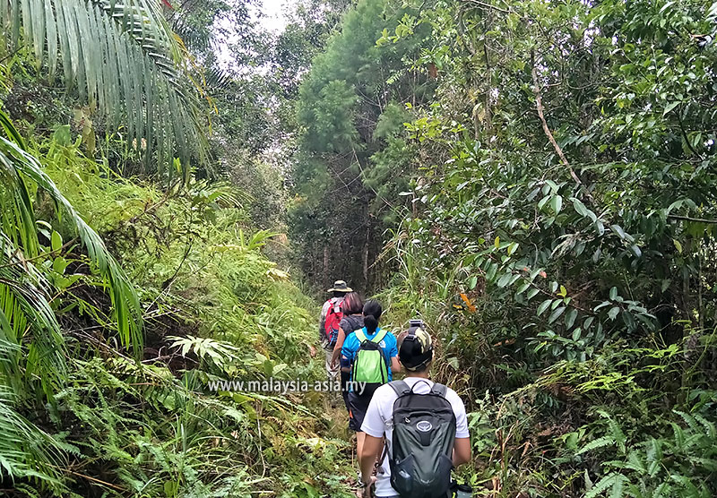 trekking-bario Travel Guide to Bario in Sarawak (2026 Edition)
