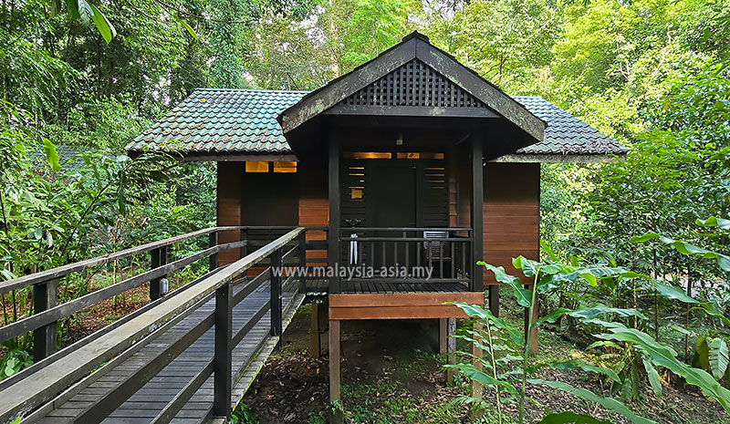 borneo-rainforest-lodge-chalet Best Things to Do in Danum Valley