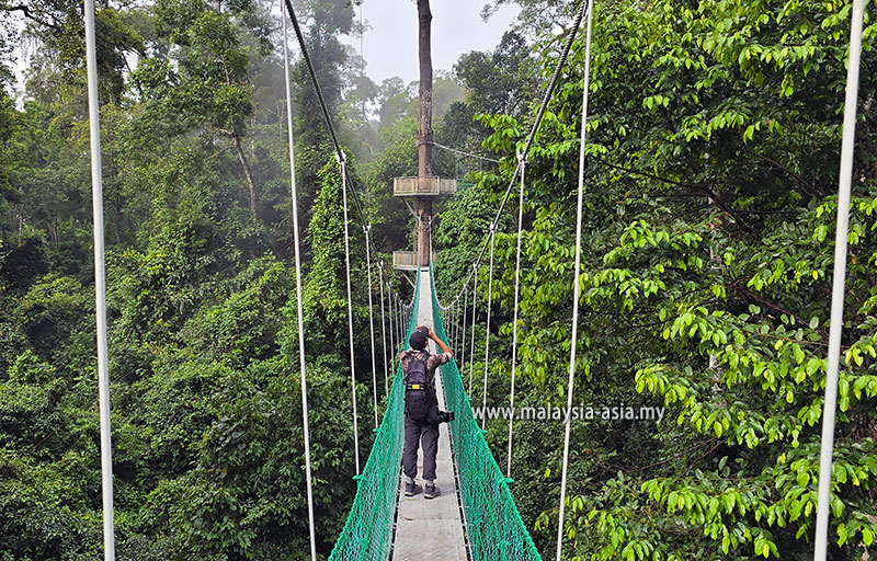 brl-danum-valley Best Things to Do in Danum Valley