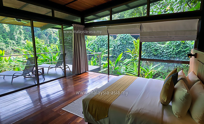 brl-deluxe-chalet-room Best Things to Do in Danum Valley