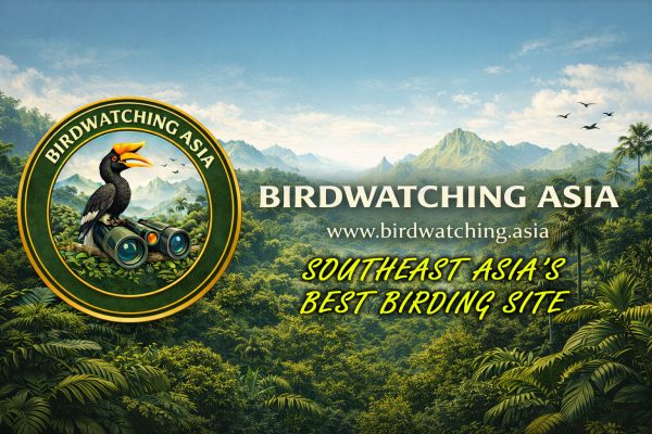 Bird Watching Asia