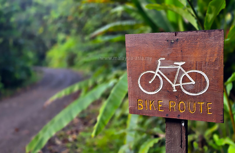 cycling-danum-valley Best Things to Do in Danum Valley