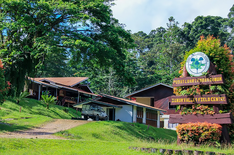 danum-valley-field-centre Best Things to Do in Danum Valley