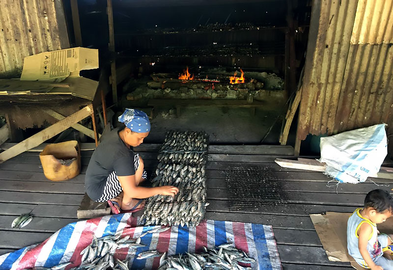 ikan-tahai-lawas What to do in Lawas