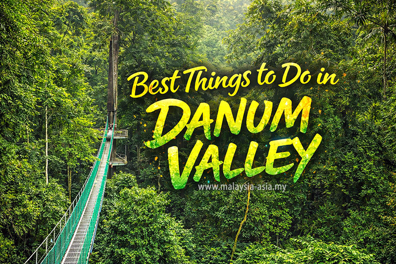 Best Things to Do in Danum Valley