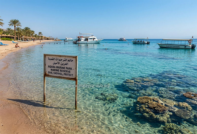 aqaba-marine-park Things to Do in Aqaba